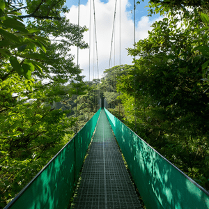 Monteverde Puentes Colgantes / Tour de Café 3 en 1