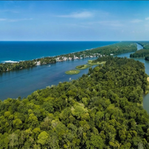 Tortuguero
